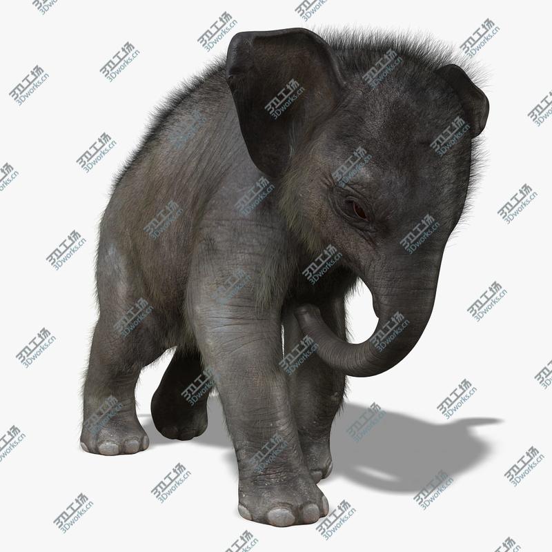 images/goods_img/20210114/Elephant Calf (ANIMATED) (FUR)/1.jpg